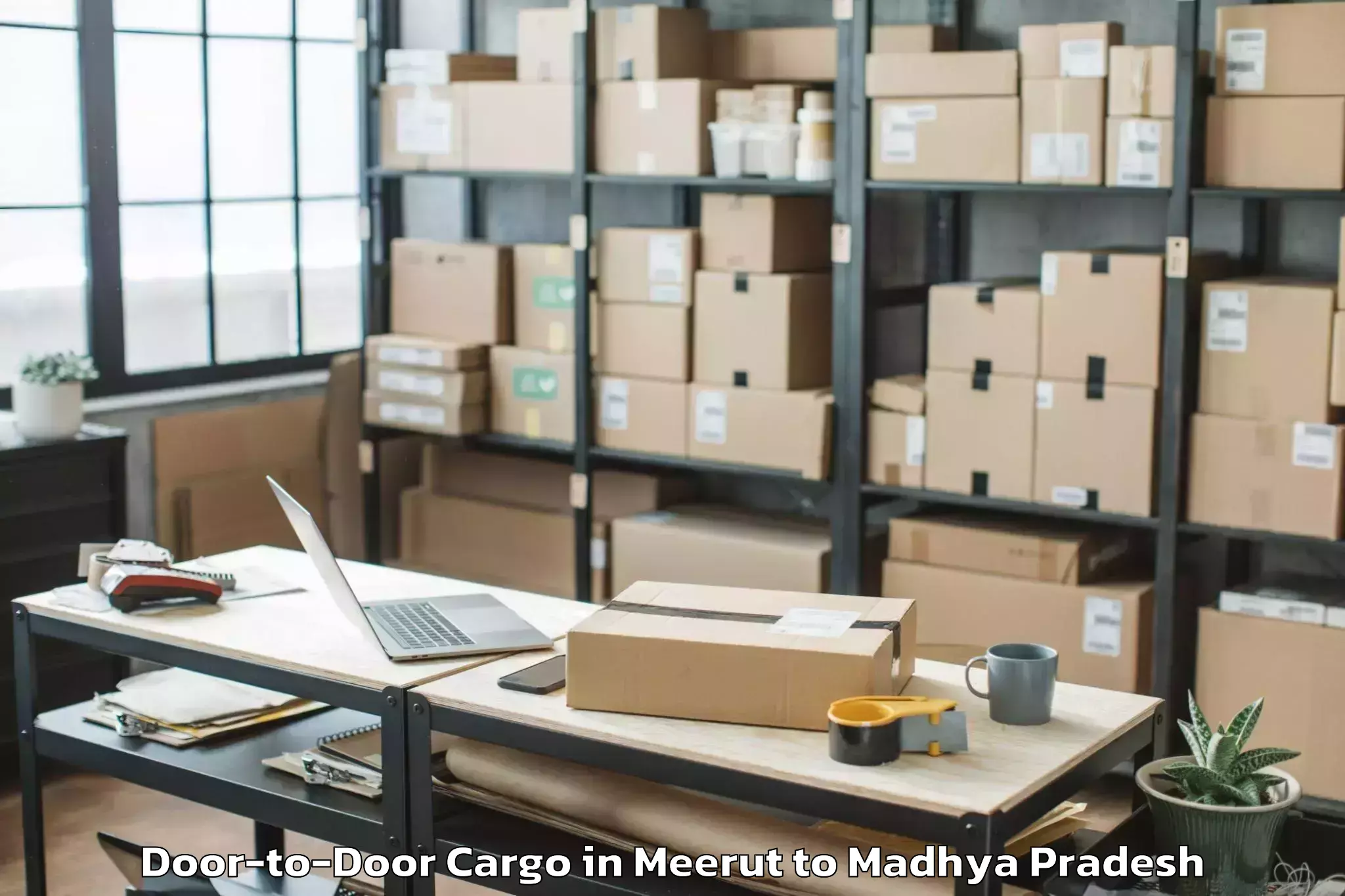 Expert Meerut to Mandla Door To Door Cargo